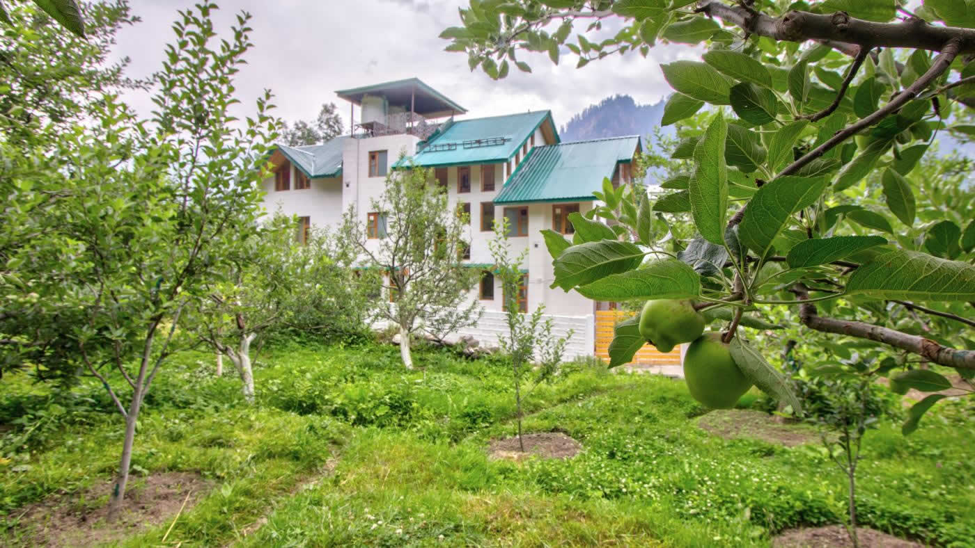 best hotel in manali himachal